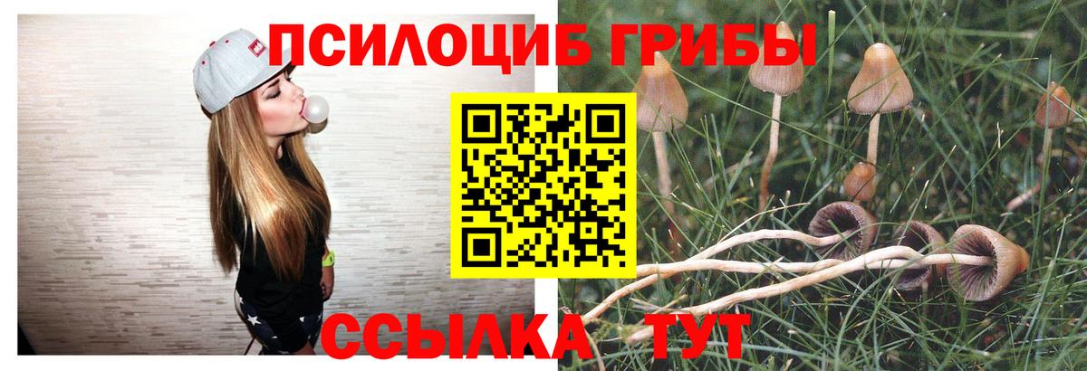 Меф Балтийск