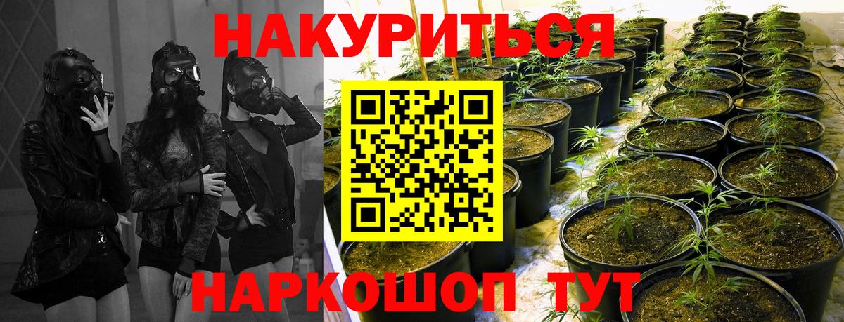 Балтийск  Шишки марихуана тримм  Вход с VPN  Конопля VHQ 